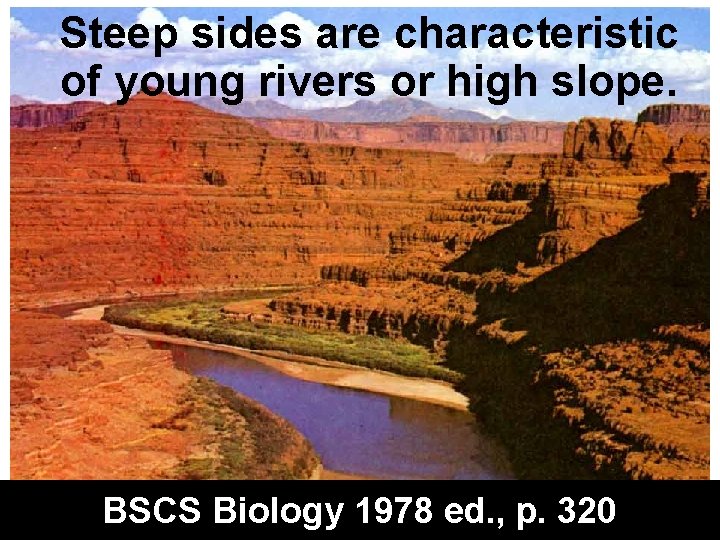 Steep sides are characteristic of young rivers or high slope. BSCS Biology 1978 ed.