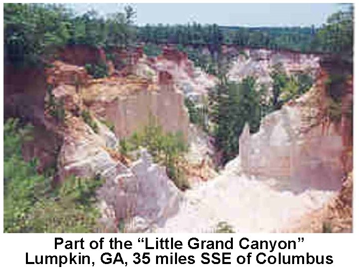 Part of the “Little Grand Canyon” Lumpkin, GA, 35 miles SSE of Columbus 