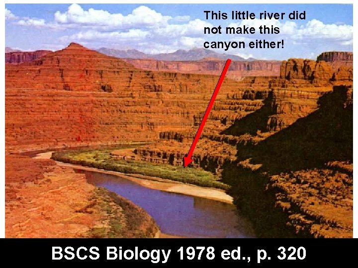 This little river did not make this canyon either! BSCS Biology 1978 ed. ,