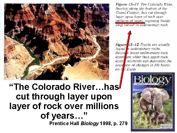 “The Colorado River…has cut through layer upon layer of rock over millions of years…”
