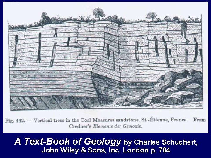 A Text-Book of Geology by Charles Schuchert, John Wiley & Sons, Inc. London p.