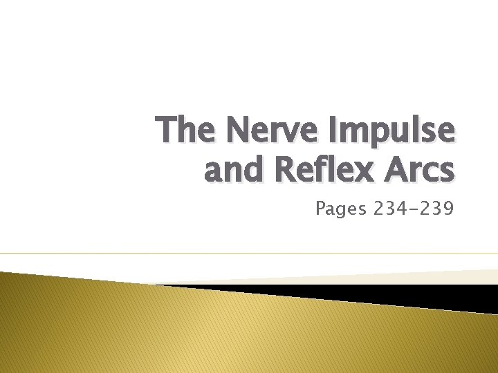 The Nerve Impulse and Reflex Arcs Pages 234 -239 
