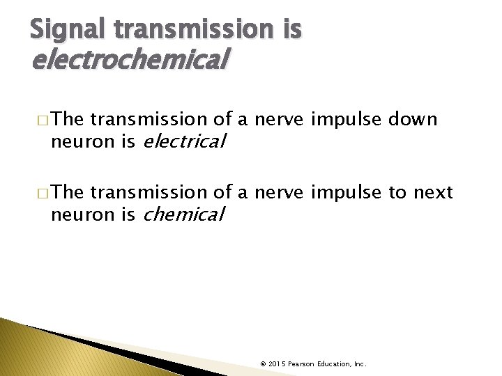Signal transmission is electrochemical � The transmission of a nerve impulse down neuron is