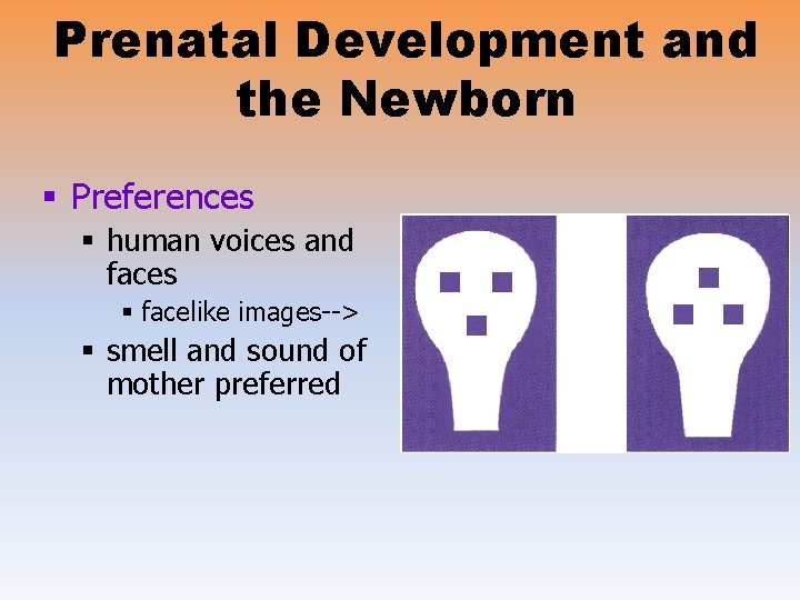 Prenatal Development and the Newborn § Preferences § human voices and faces § facelike