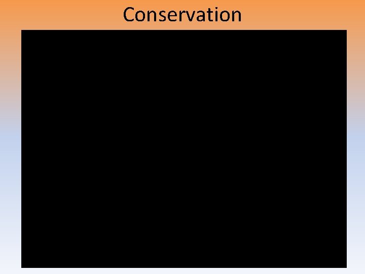 Conservation 