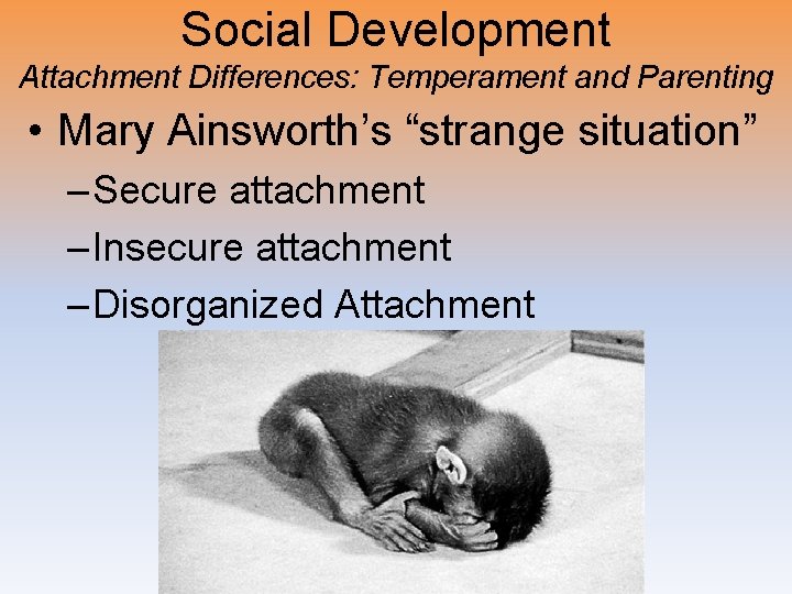 Social Development Attachment Differences: Temperament and Parenting • Mary Ainsworth’s “strange situation” – Secure