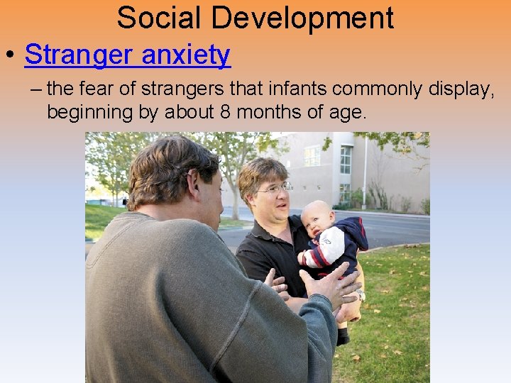 Social Development • Stranger anxiety – the fear of strangers that infants commonly display,