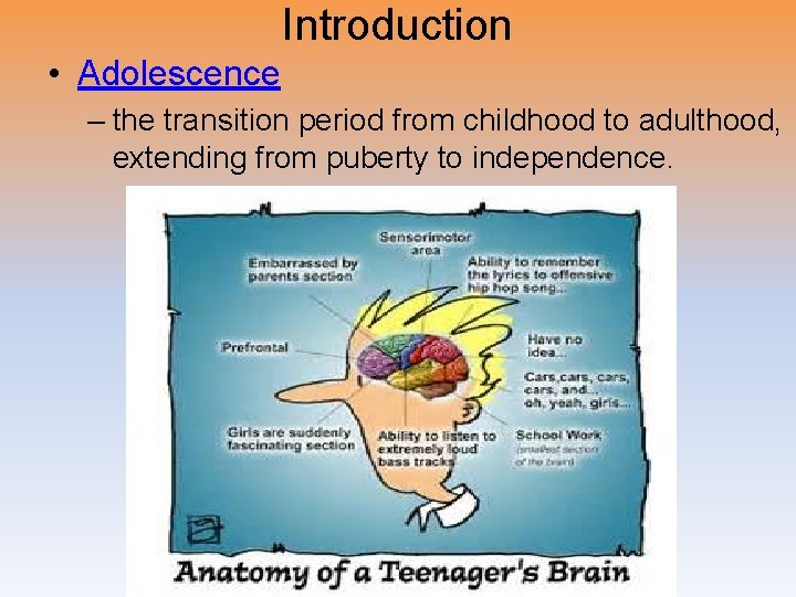 Introduction • Adolescence – the transition period from childhood to adulthood, extending from puberty