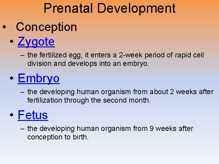 Prenatal Development • Conception • Zygote – the fertilized egg, it enters a 2