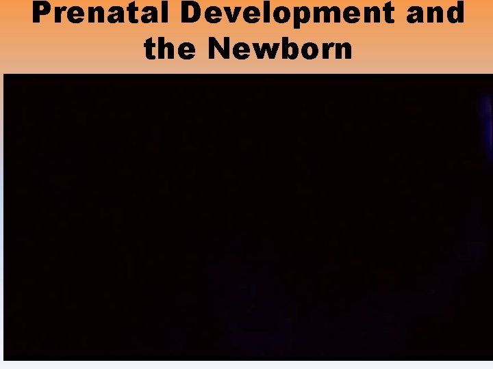 Prenatal Development and the Newborn 