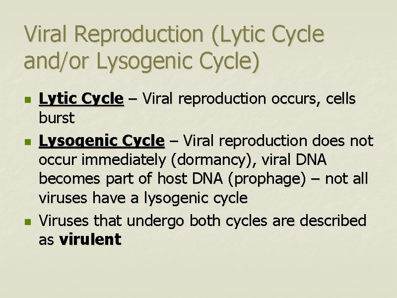 Viral Reproduction (Lytic Cycle and/or Lysogenic Cycle) n n n Lytic Cycle – Viral