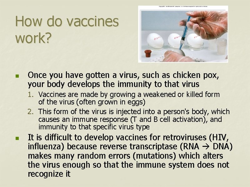 How do vaccines work? n Once you have gotten a virus, such as chicken