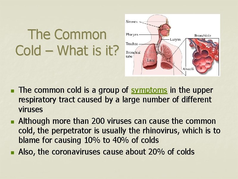 The Common Cold – What is it? n n n The common cold is