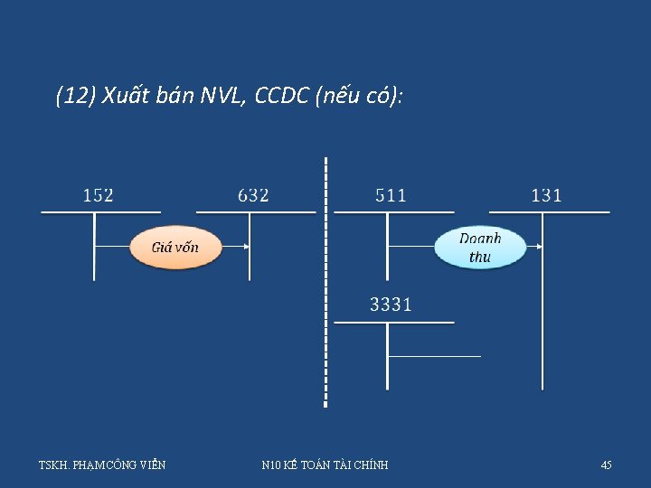 (12) Xuất bán NVL, CCDC (nếu có): TSKH. PHẠM CÔNG VIỂN N 10 KẾ