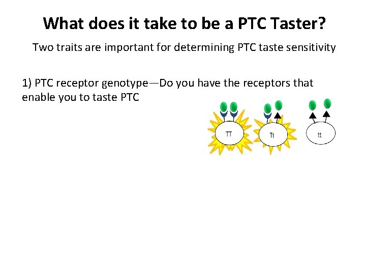 What does it take to be a PTC Taster? Two traits are important for