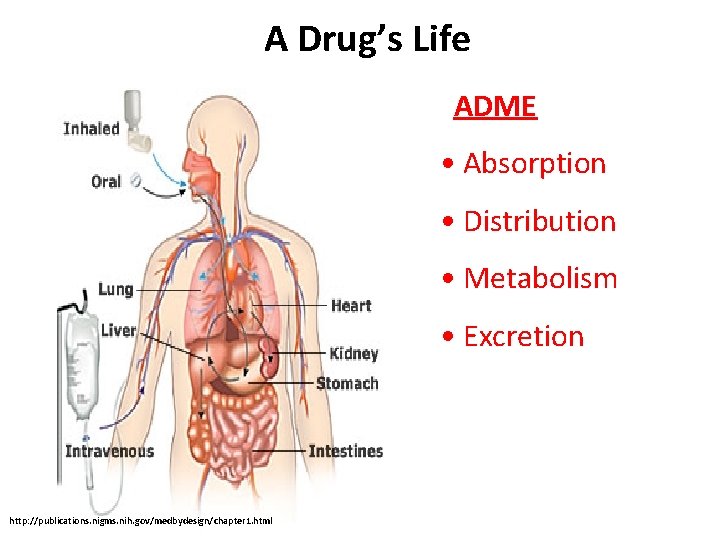 A Drug’s Life ADME • Absorption • Distribution • Metabolism • Excretion http: //publications.