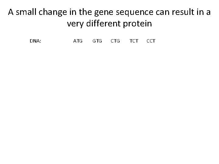 A small change in the gene sequence can result in a very different protein