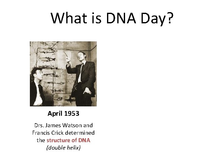 What is DNA Day? April 1953 Drs. James Watson and Francis Crick determined the