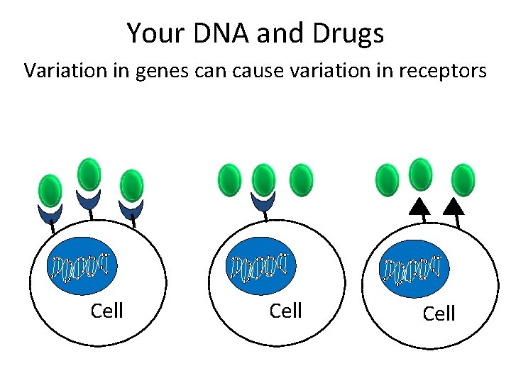 Your DNA and Drugs Variation in genes can cause variation in receptors Cell Cell