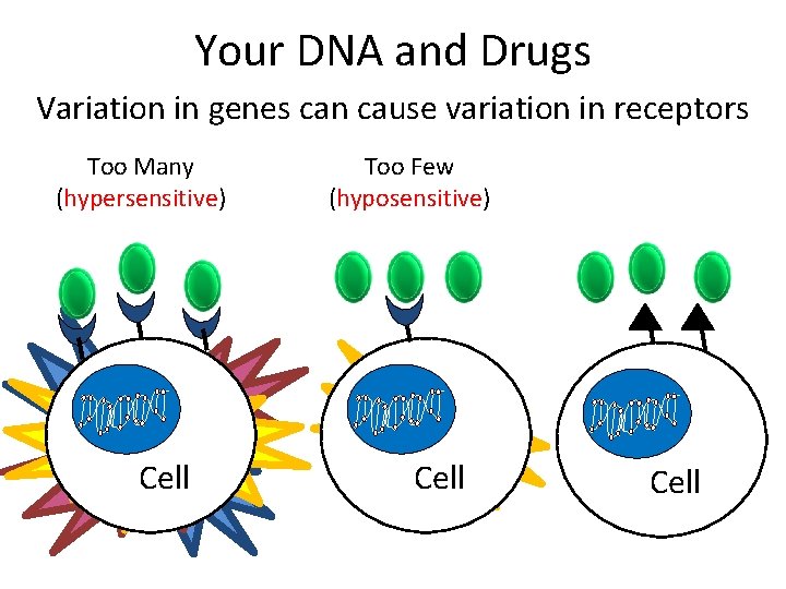 Your DNA and Drugs Variation in genes can cause variation in receptors Too Many