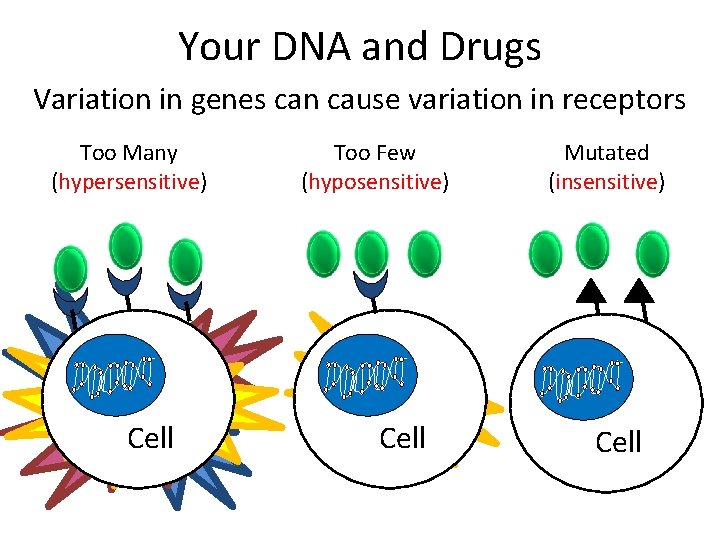 Your DNA and Drugs Variation in genes can cause variation in receptors Too Many