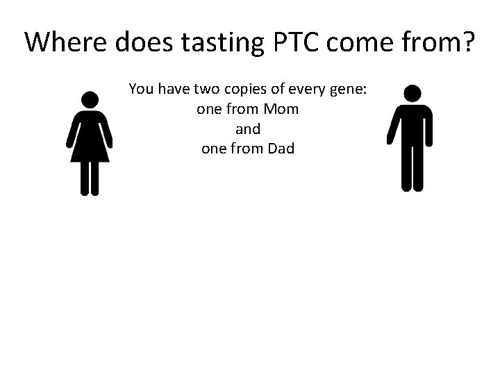 Where does tasting PTC come from? You have two copies of every gene: one