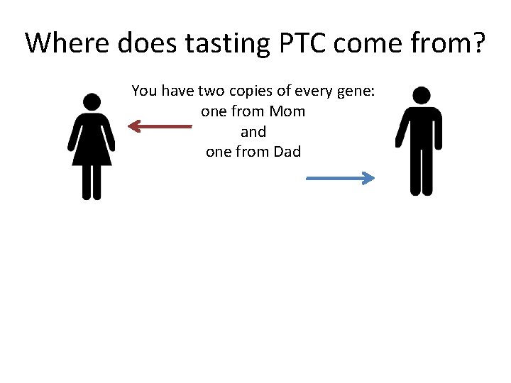 Where does tasting PTC come from? You have two copies of every gene: one