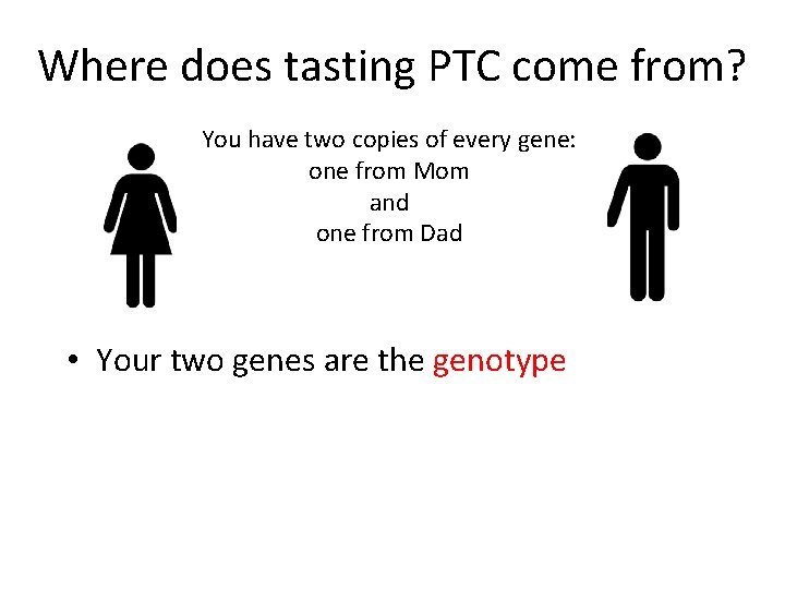 Where does tasting PTC come from? You have two copies of every gene: one