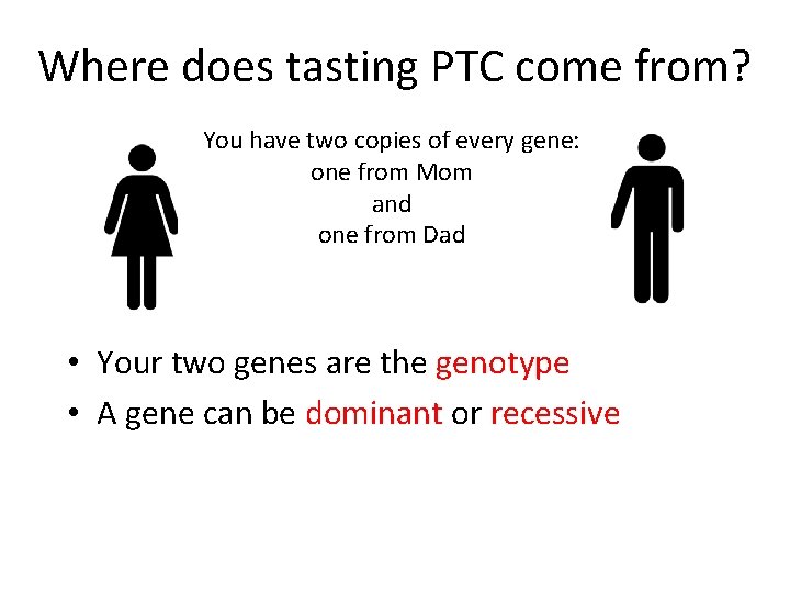 Where does tasting PTC come from? You have two copies of every gene: one