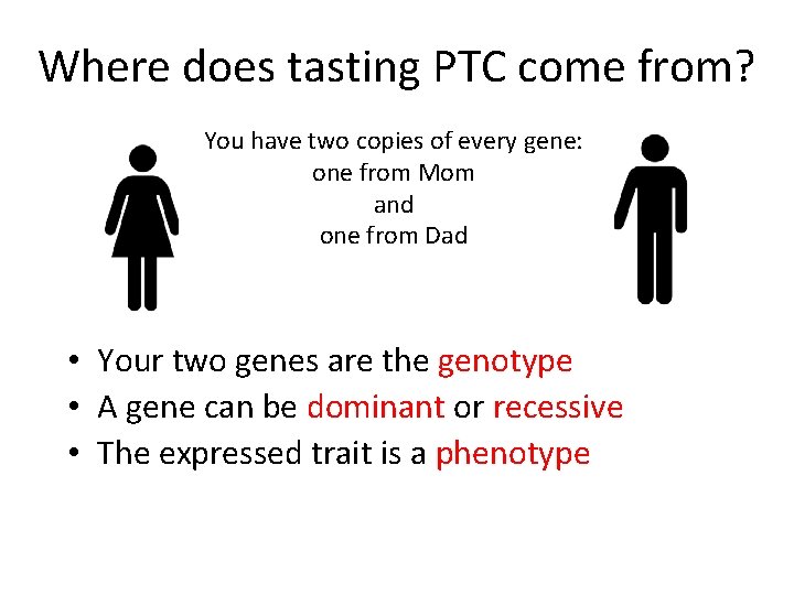 Where does tasting PTC come from? You have two copies of every gene: one