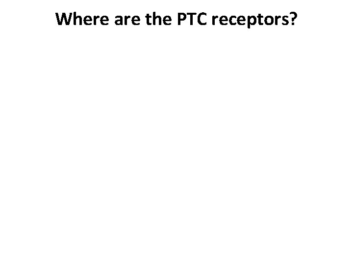 Where are the PTC receptors? 