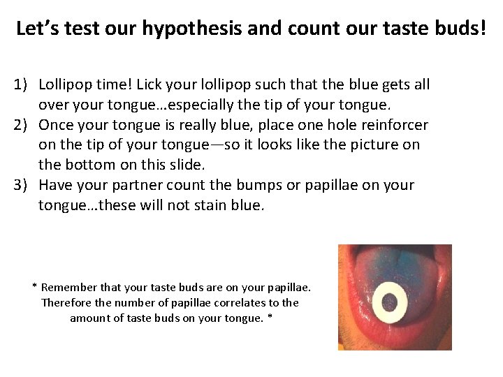 Let’s test our hypothesis and count our taste buds! 1) Lollipop time! Lick your