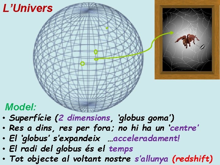 L’Univers Model: • • • Superfície (2 dimensions, ‘globus goma’) Res a dins, res