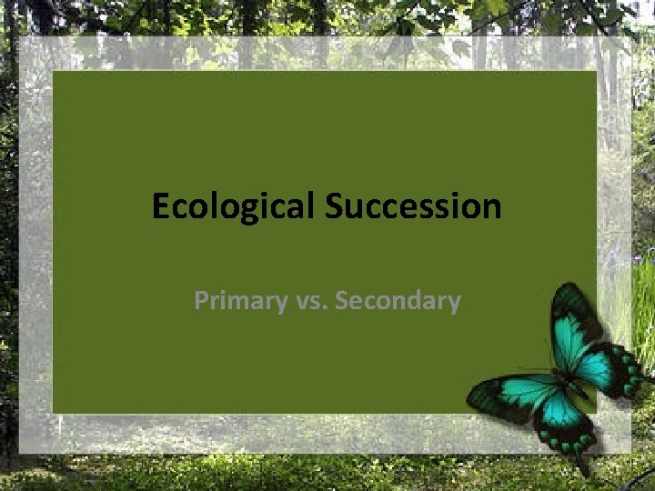 Ecological Succession Primary vs. Secondary 
