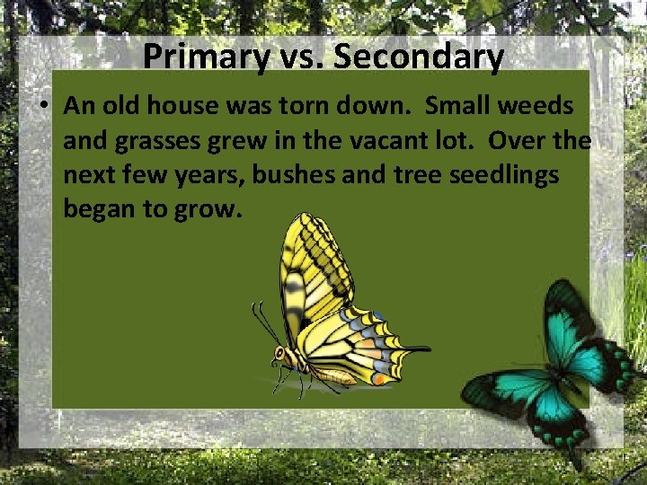 Primary vs. Secondary • An old house was torn down. Small weeds and grasses