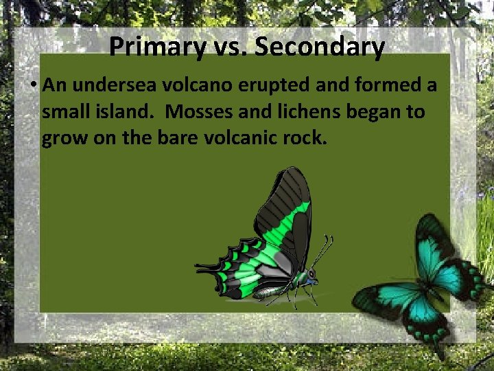 Primary vs. Secondary • An undersea volcano erupted and formed a small island. Mosses