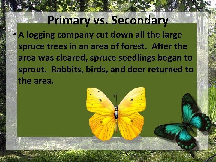 Primary vs. Secondary • A logging company cut down all the large spruce trees