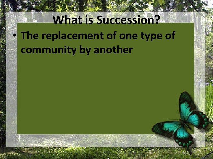 What is Succession? • The replacement of one type of community by another 