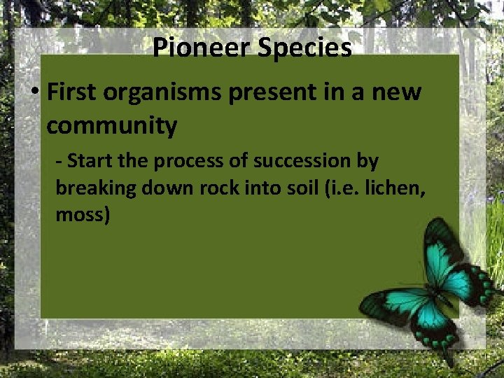 Pioneer Species • First organisms present in a new community - Start the process