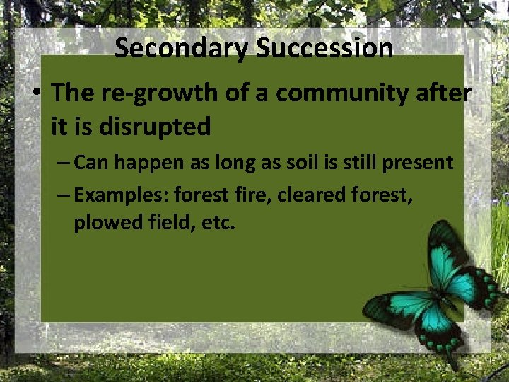 Secondary Succession • The re-growth of a community after it is disrupted – Can
