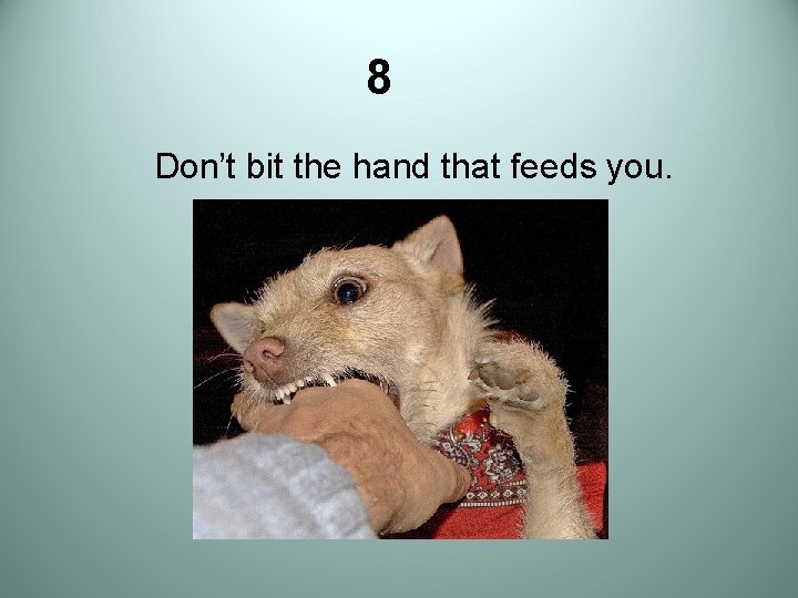 8 Don’t bit the hand that feeds you. 