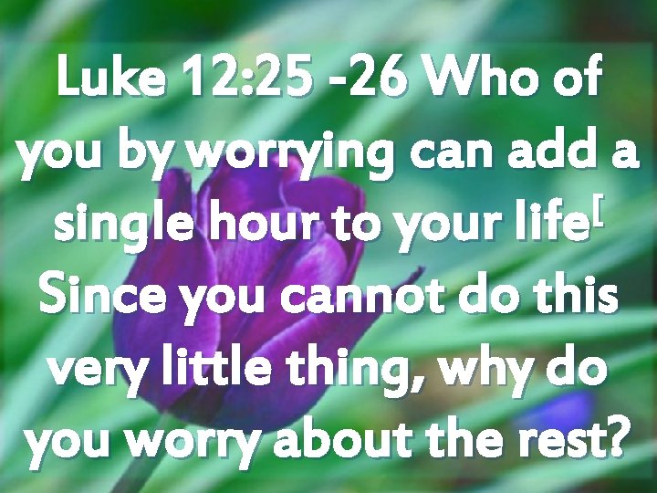 Luke 12: 25 -26 Who of you by worrying can add a [ single