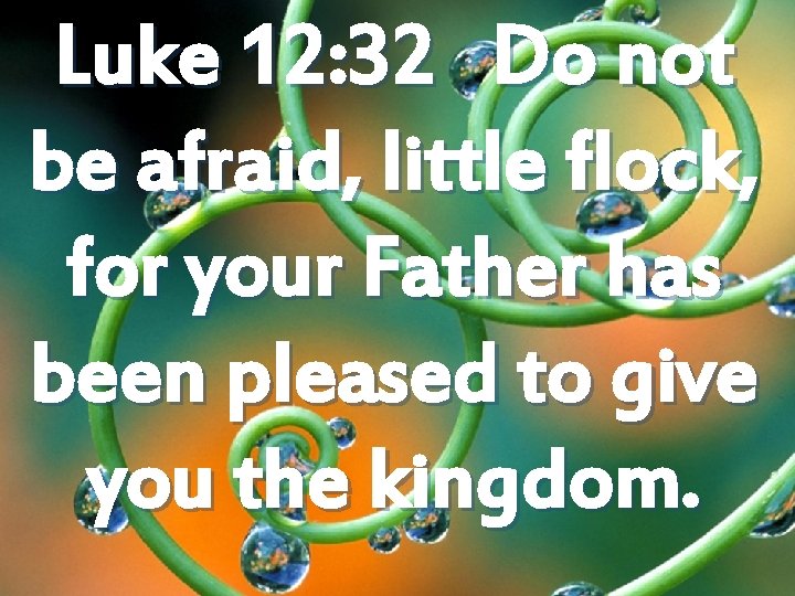 Luke 12: 32 Do not be afraid, little flock, for your Father has been