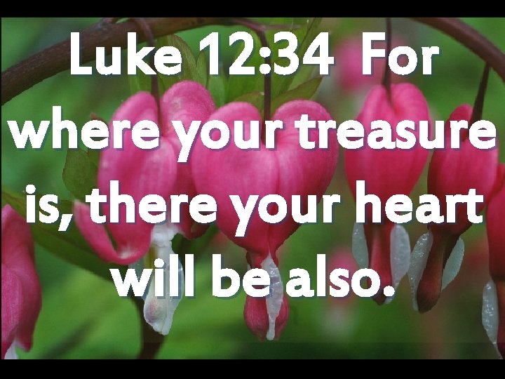 Luke 12: 34 For where your treasure is, there your heart will be also.