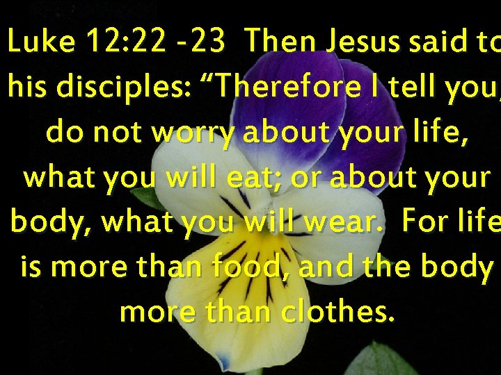 Luke 12: 22 -23 Then Jesus said to his disciples: “Therefore I tell you,