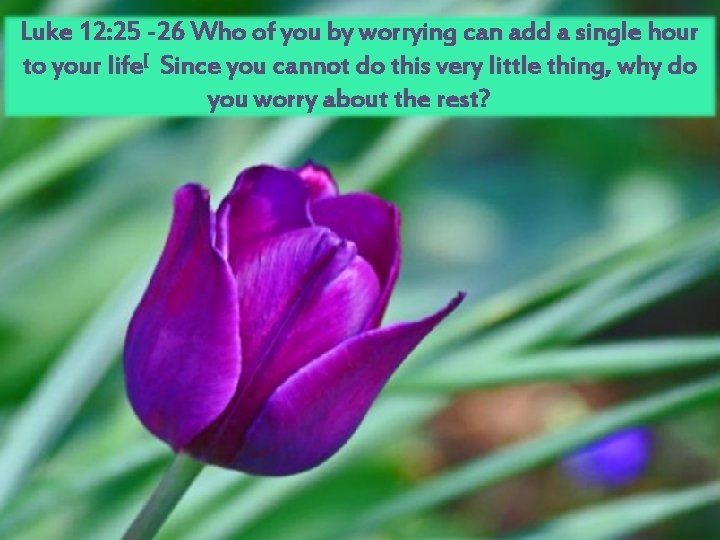 Luke 12: 25 -26 Who of you by worrying can add a single hour