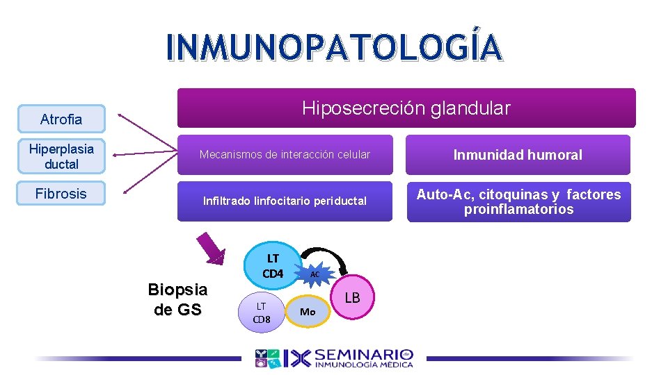 INMUNOPATOLOGÍA Hiposecreción glandular Atrofia Hiperplasia ductal Fibrosis Mecanismos de interacción celular Inmunidad humoral Infiltrado