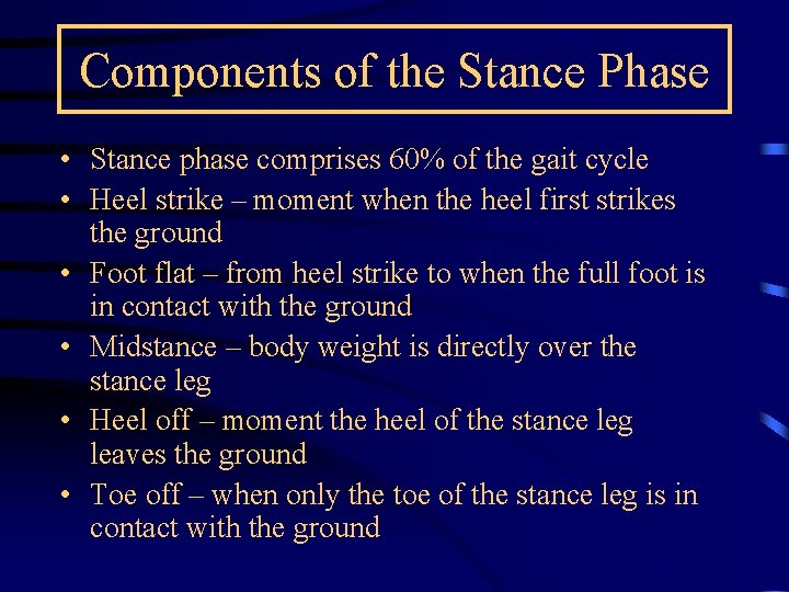 Components of the Stance Phase • Stance phase comprises 60% of the gait cycle