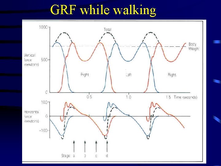 GRF while walking 