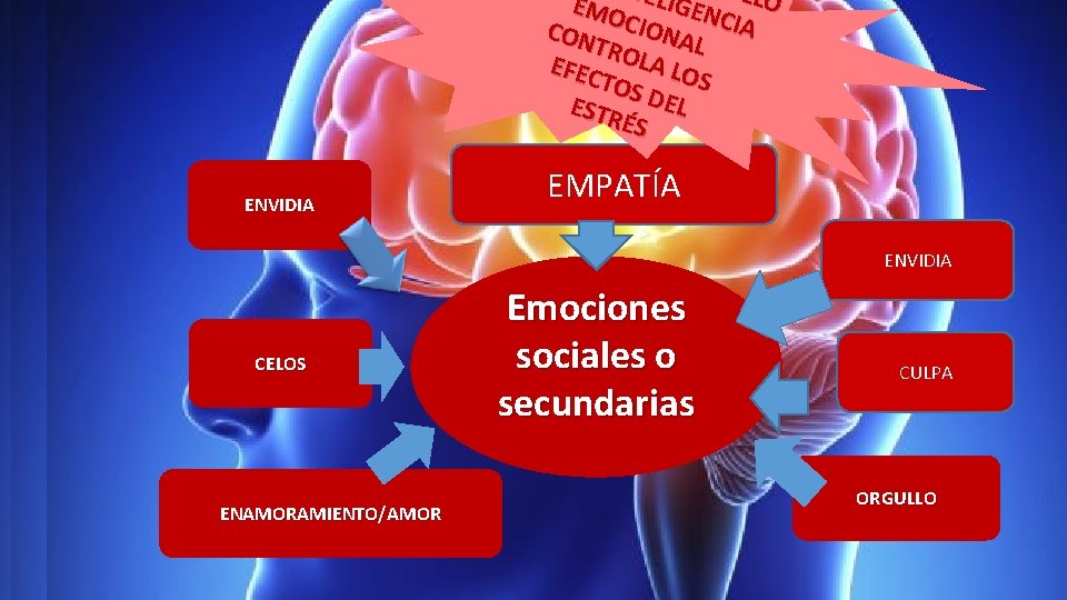 O T EMO ELIGEN LLO CON CIONA CIA L TRO EFEC LA LO S